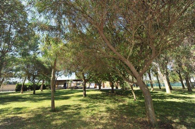 Resort La Brunese Torre dell'Orso Εξωτερικό φωτογραφία